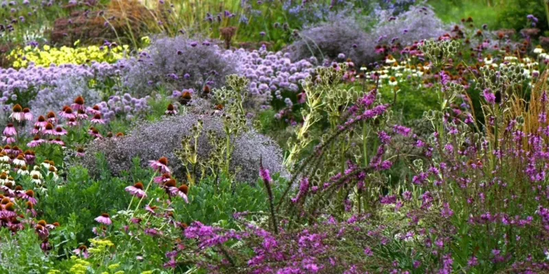 Blütenzauber beim Forum Landesgartenschau